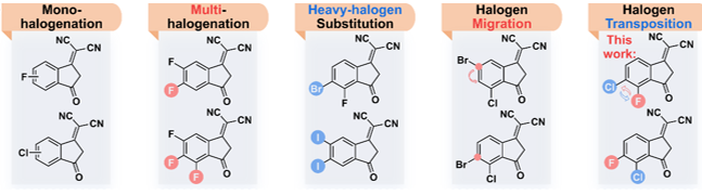 666901afb2f79.png image.png